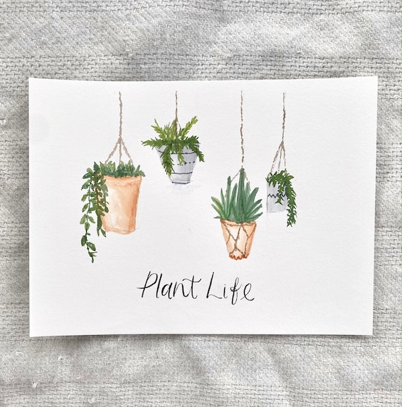 Watercolor Hanging Plants - Hanging succulents
