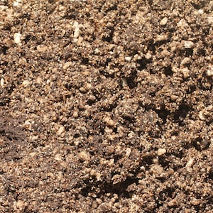 Premium Carnivorous Plant Soil Mix (3) Cups for Sarracenia Venus Flytrap Drosera Sundew