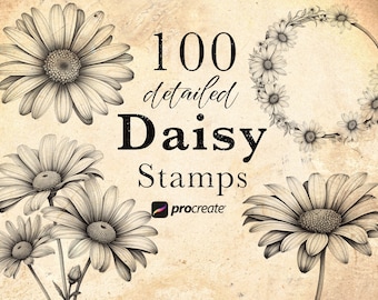 Daisy Flower Procreate Stamp Brushes: Botanical Tattoo Stamps (100) • .brushset for iPad/Apple Pencil