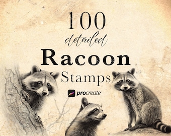 100 Racoon Procreate Stamp Brushes | Wildlife Animal Procreate Stamps | Forest Life Set | Animal  Procreate | Tattoo Reference Microrealism