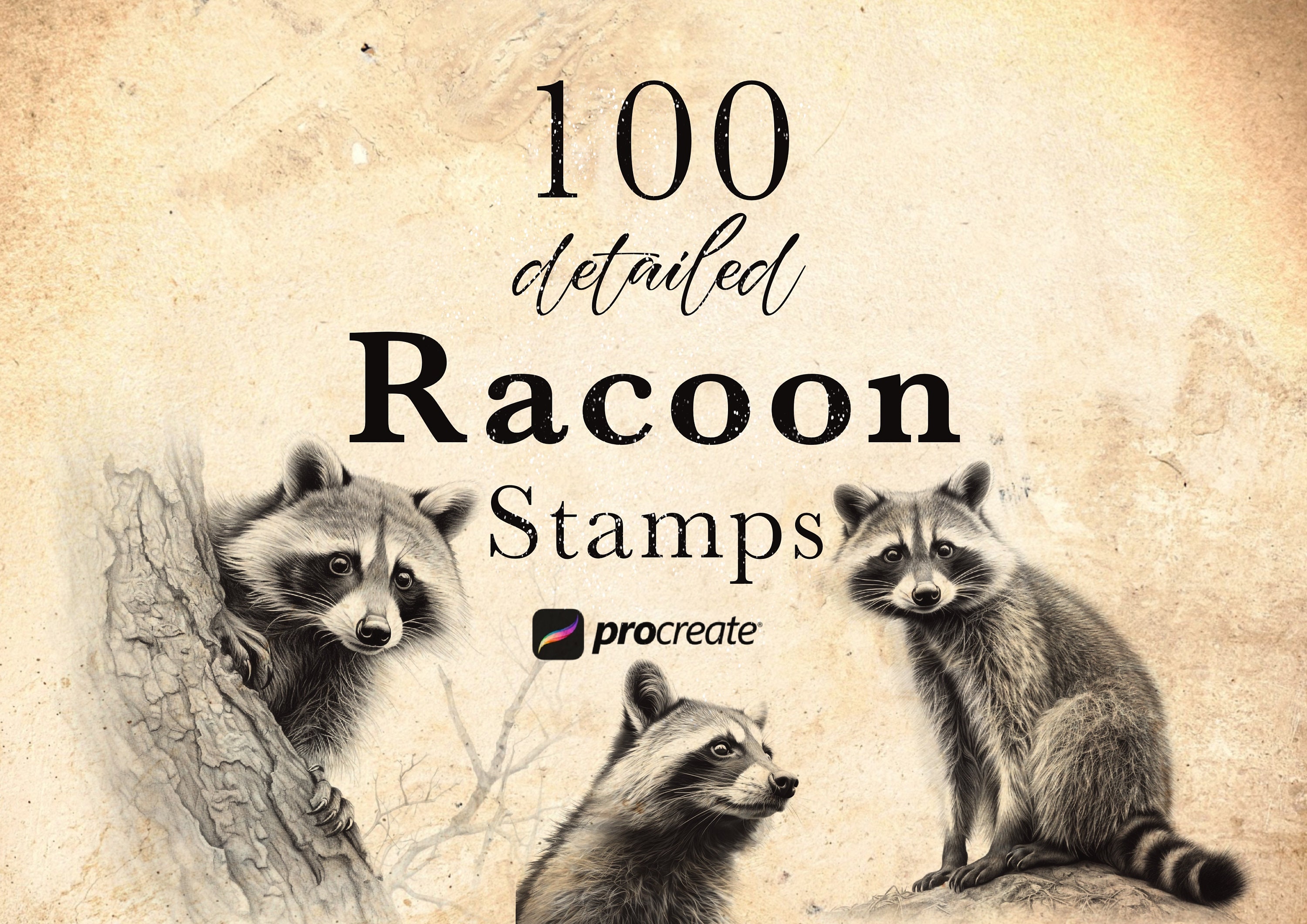 100 Racoon Procreate Stamp Brushes: Wildlife Animal Stamps (digital ...