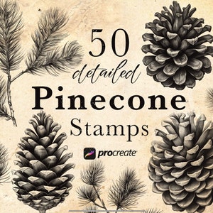 May include: A digital illustration of 50 detailed pine cone stamps for the Procreate app. The image features three pine cones and pine needles in a vintage style.