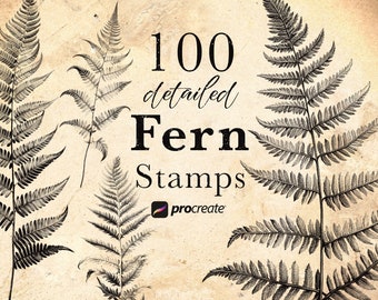 Fern Procreate Stamp Brushes | Greenery Stamps | Detailed Fern Illustrations | Tattoo Stamps | Botanical Stamps | Unique Fern Tattoo