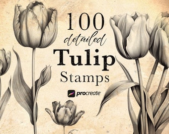 100 Tulip Flower Procreate Stamps: Detailed Botanical Brushes • .brushset for iPad/Apple Pencil