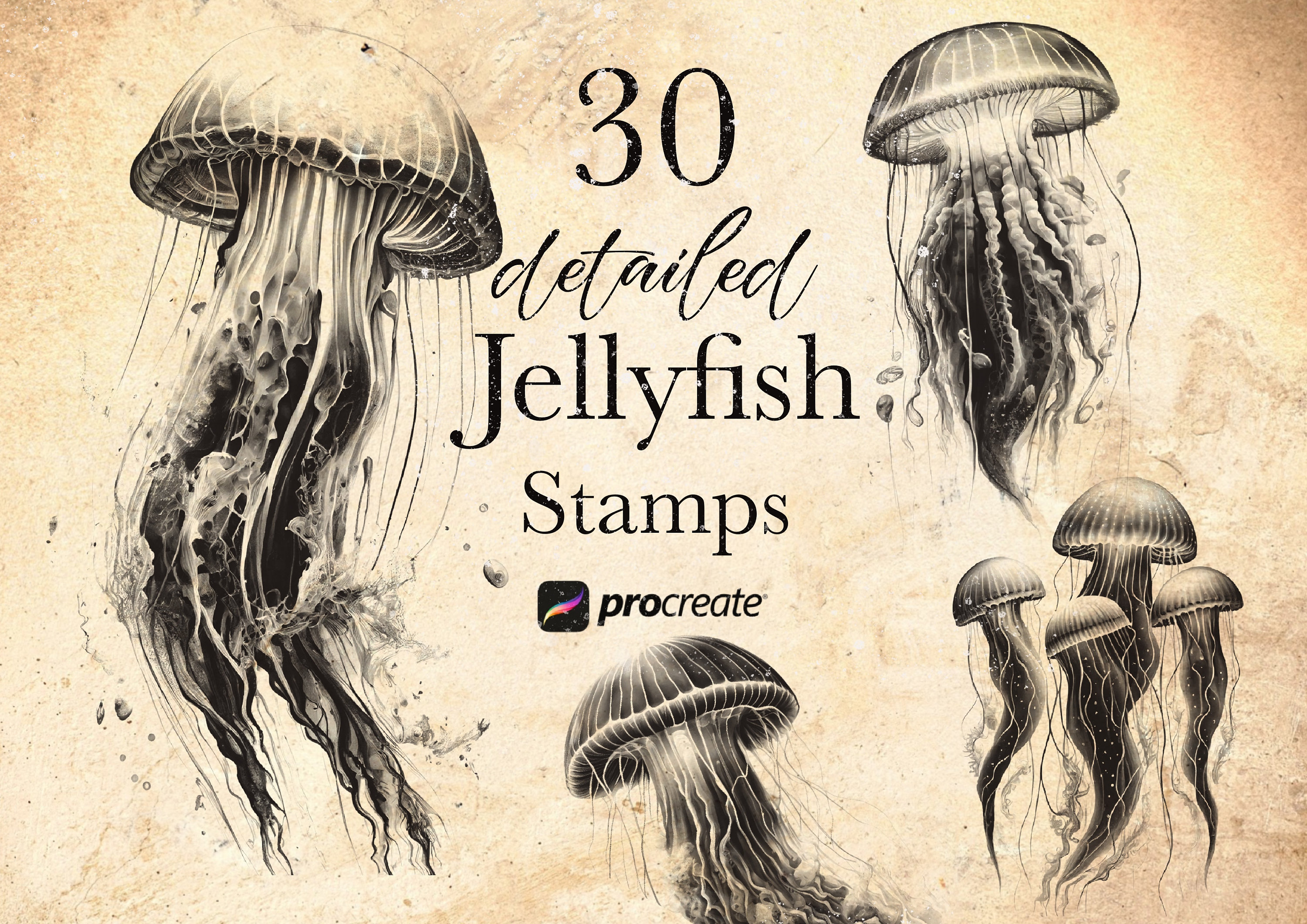 Jellyfish Procreate Stamp Brushes Ocean Jellyfish Procreate Etsy