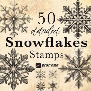 May include: A set of 50 detailed snowflake stamps for Procreate. The stamps are black and white and feature intricate designs.