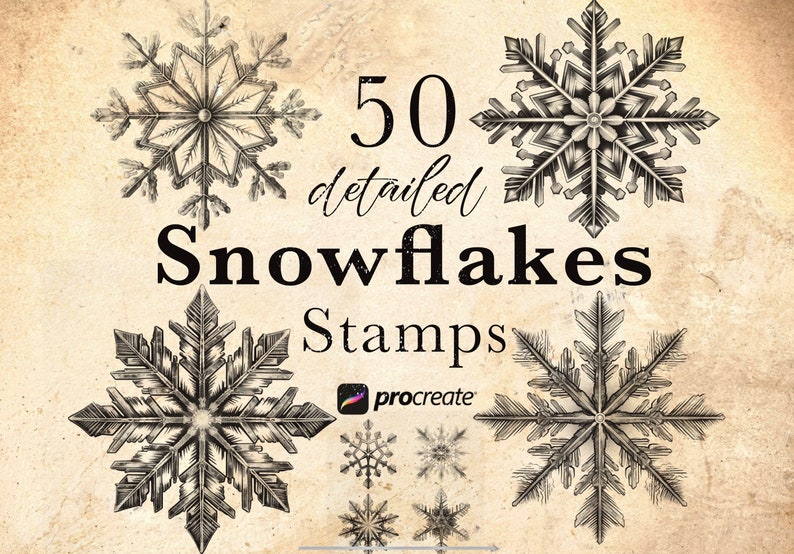 May include: A set of 50 detailed snowflake stamps for Procreate. The stamps are black and white and feature intricate designs.