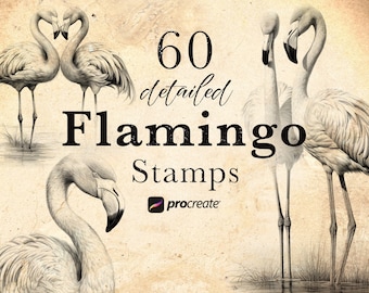 60 Flamingo Procreate Stamp Brushes | Wildlife Procreate Stamps | Tropical Life Set | Animal Procreate | Tattoo Reference Microrealism