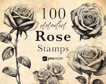 Rose Procreate Stamp Brushes: 100 Detailed Blossom Stamps (Digital Download)
