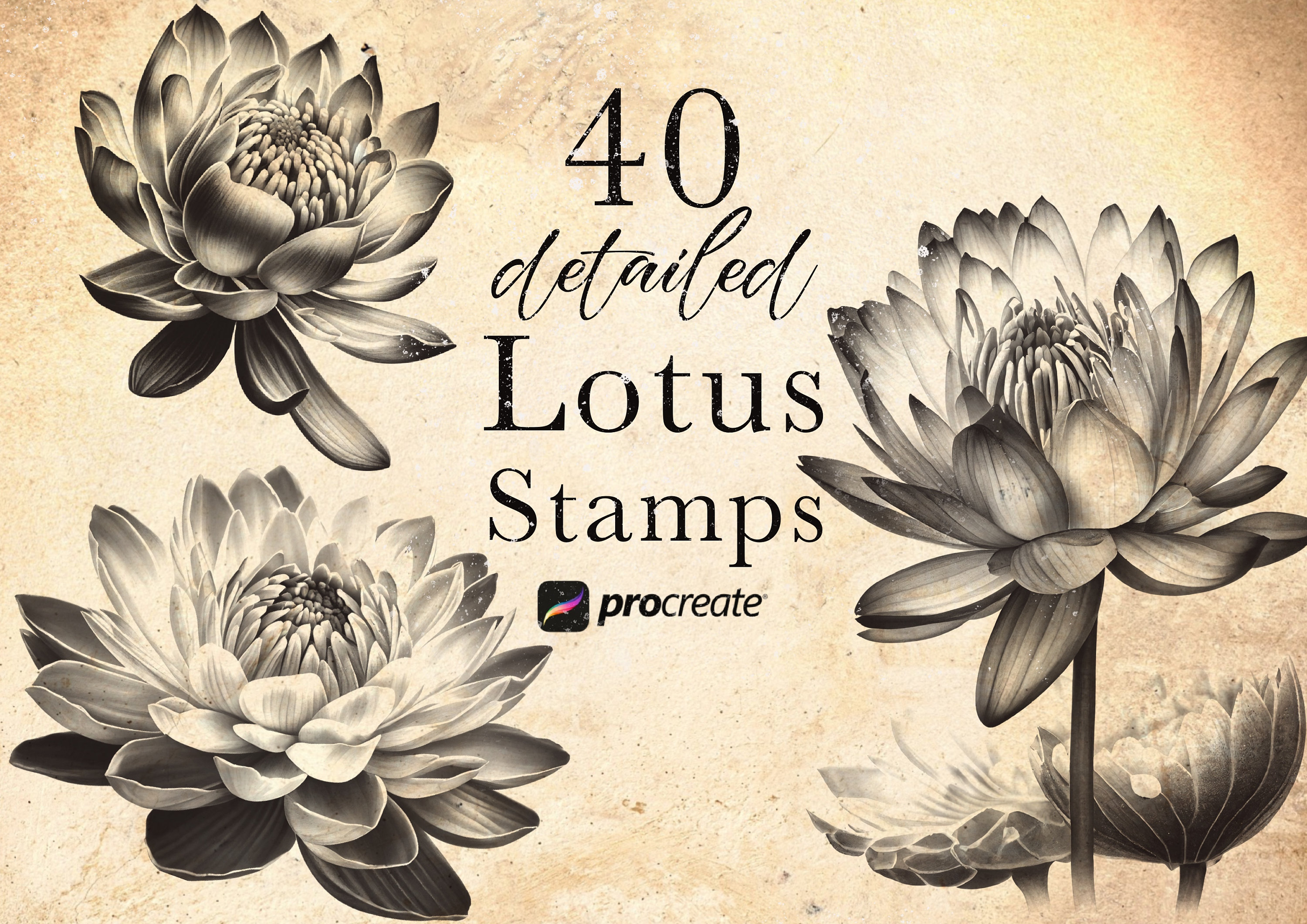 SAVE 30% for 3 ITEMS 12 Procreate Stamps Lotus Procreate 