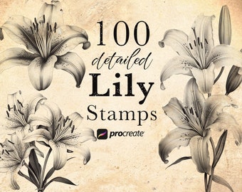 Lily Flower Procreate Stamp Brush Set: 100 Detailed Botanical Stamps