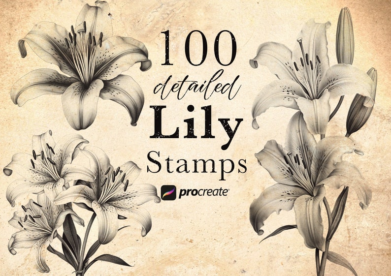 Lily Flower Procreate Stamp Brushes Detailed Lilium Blossom Stamps May Birth Flower Brushes Tattoo Stamps Botanical Stamps image 1