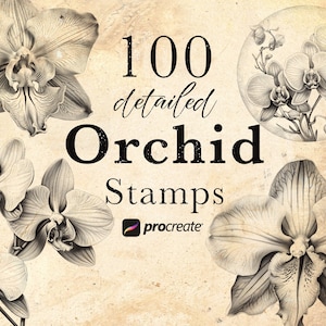 Orchid Flower Procreate Stamp Brushes | Orchids Blossom Stamps | September Birth Flower Brushes | Tattoo Stamps | Botanical Stamps |