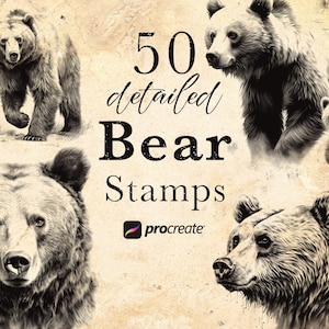 May include: A set of 50 detailed bear stamps for Procreate. The stamps feature black and white illustrations of bears in various poses.