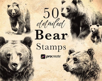 50 Detailed Bear Procreate Stamp Brushes: Wildlife, Tattoo Reference (Digital Download)