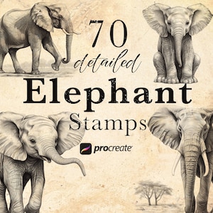 May include: A set of 70 detailed elephant stamps for Procreate. The stamps feature various poses of elephants, including a standing elephant, a sitting elephant, and a walking elephant. The stamps are drawn in a realistic style with a focus on detail.