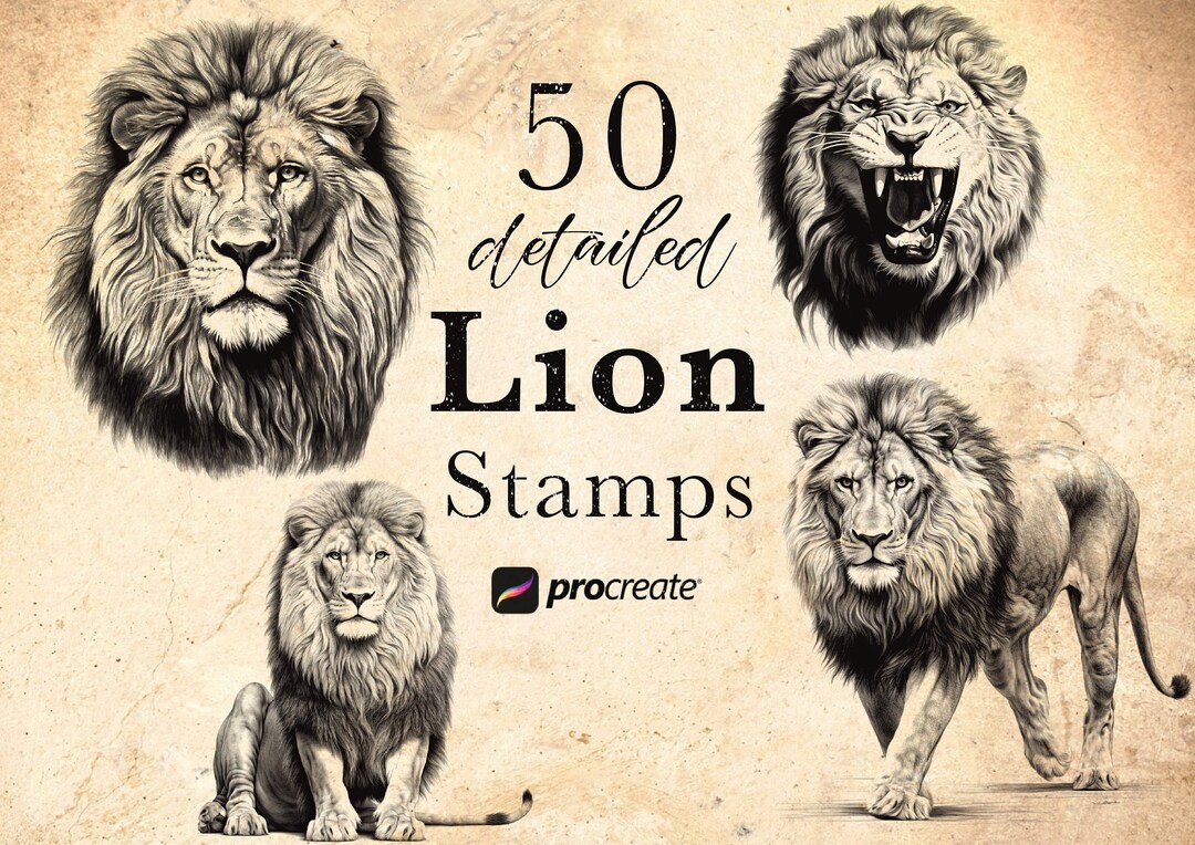 50 Lion Procreate Stamp Brushes Wildlife Animal Procreate Stamps