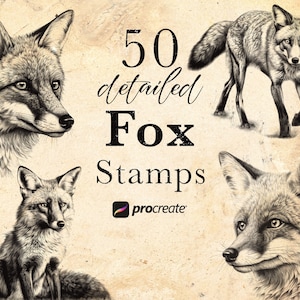 50 Fox Procreate Stamp Brushes | Wildlife Animal Procreate Stamps | Forest Life Set | Animal  Procreate | Tattoo Reference Microrealism