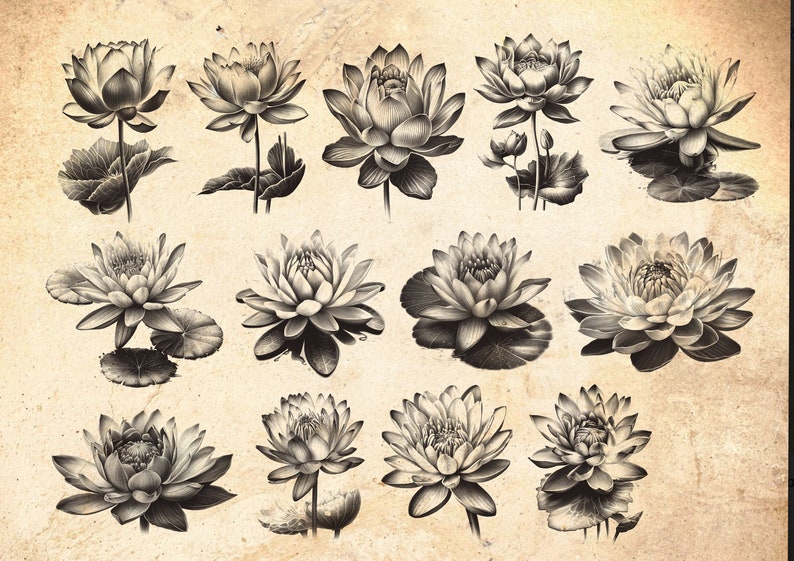 Lotus Flower Procreate Stamp Brush Set: Botanical Tattoo Stamps (40) - Etsy