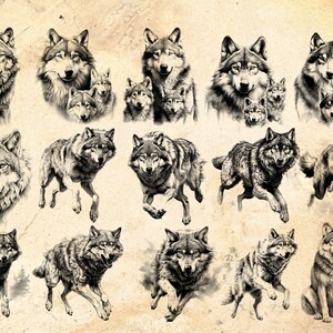 Puede incluir: Una colecci&oacute;n de 18 dibujos en blanco y negro de lobos en varias poses. Algunos lobos est&aacute;n de pie, otros corriendo y otros aullando. Los dibujos est&aacute;n sobre un fondo beige.