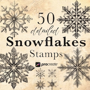 May include: 50 detailed snowflake stamps for Procreate. The image shows several black and white snowflake designs on a beige background.