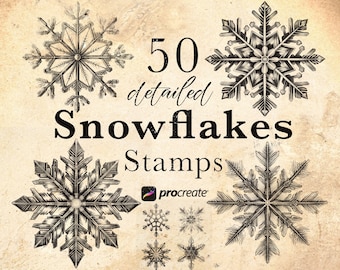 50 Snowflake Procreate brush Stamps | snowy Christmas ornaments , gift boxes, Winter Procreate Brushes
