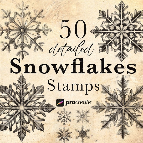 50 Snowflake Procreate brush Stamps | snowy Christmas ornaments , gift boxes, Winter Procreate Brushes