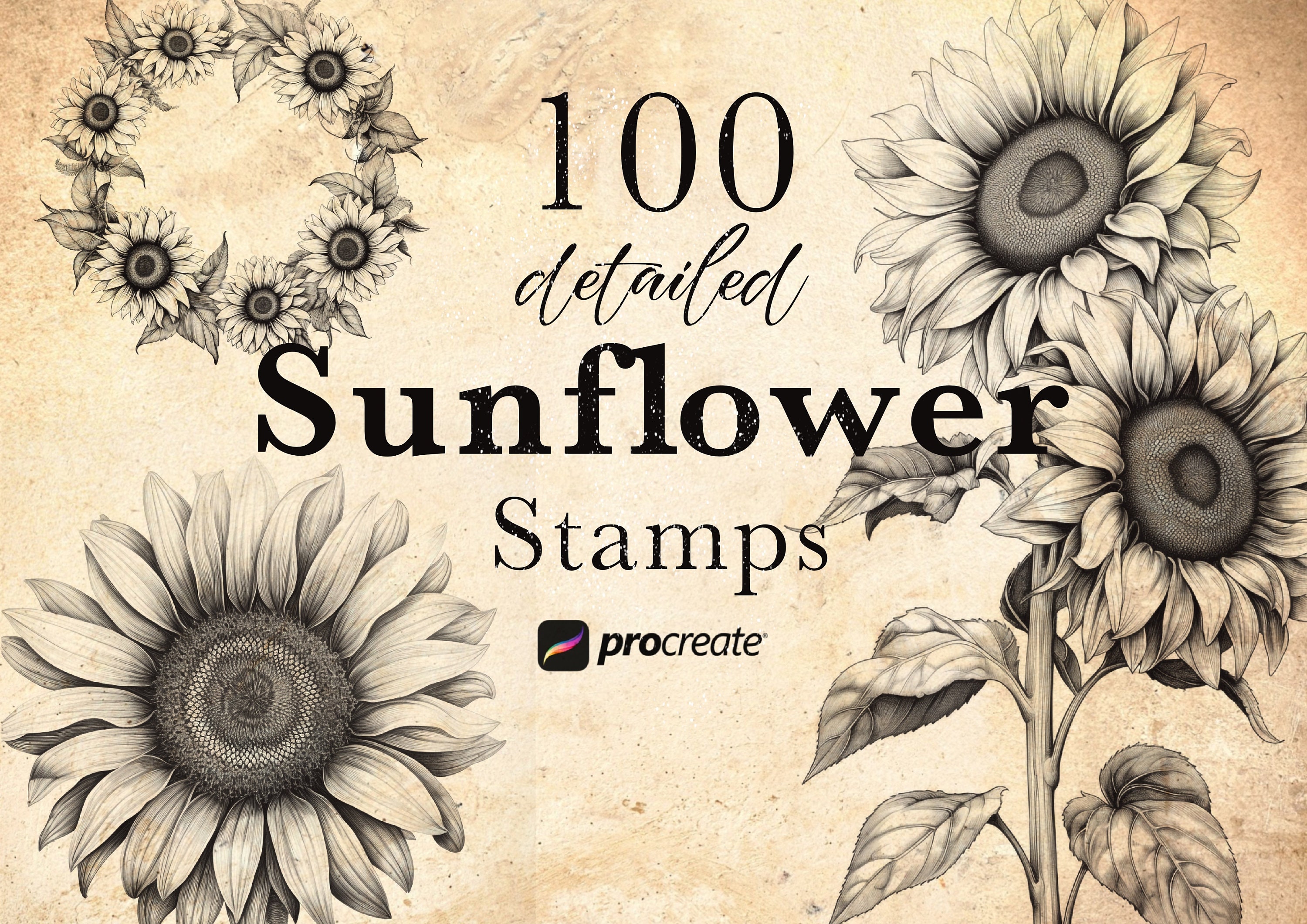 100 Sunflower Procreate Stamp Brushes: Detailed Botanical Stamps ...