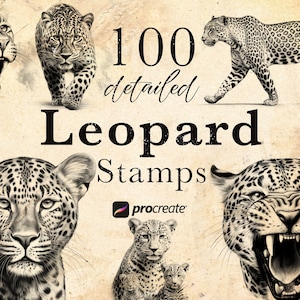 100 Leopard Procreate Stamp Brushes | Wildlife Animal Procreate Stamps | Forest Life Set | Animal  Procreate | Tattoo Reference Microrealism