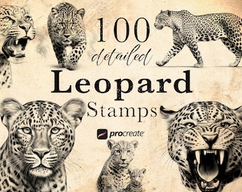 100 Leopard Procreate Stamp Brushes: Wildlife Animal Set • .brushset for iPad/Apple Pencil