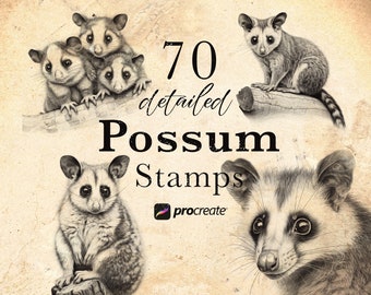 70 Possum Procreate Stamp Brushes | Wildlife Animal Procreate Stamps | Forest Life Set | Animal  Procreate | Tattoo Reference Microrealism