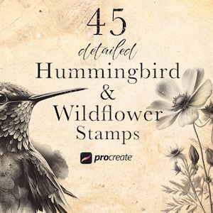 Kolibrie & Wildflower voortplanten stempelstruiken | Kolibri Procreate-postzegels | Bloemenset | Botanisch voortplanten | Vogel zwart en grijs tattoo