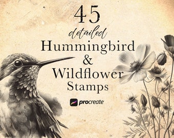 Kolibrie & Wildflower voortplanten stempelstruiken | Kolibri Procreate-postzegels | Bloemenset | Botanisch voortplanten | Vogel zwart en grijs tattoo