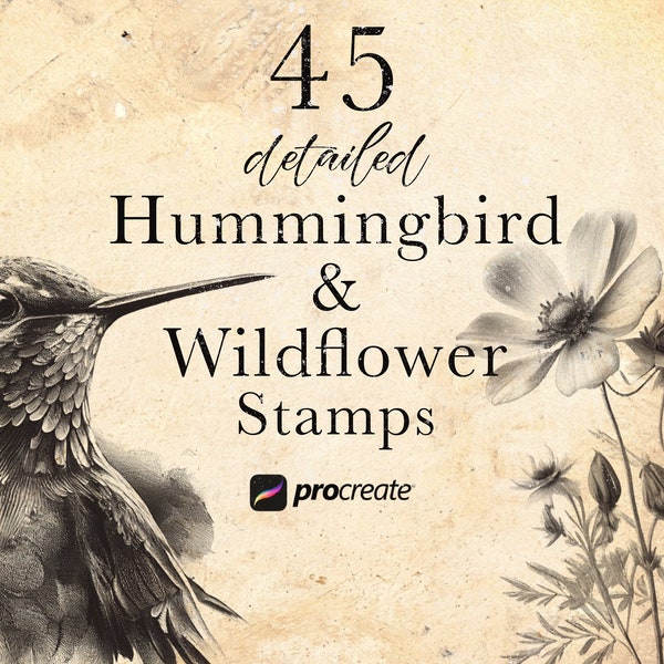 Hummingbird & Wildflower Procreate Stamp Bushes | Kolibri Procreate Stamps | Floral  Set | Botanical  Procreate | Bird Black and Grey Tattoo