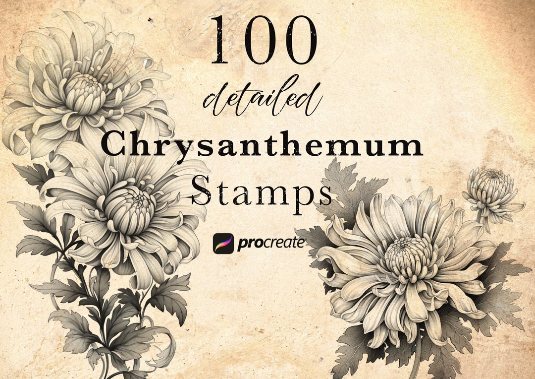 100 Chrysanthemum Flower Procreate Stamp Brushes: Botanical Tattoo ...