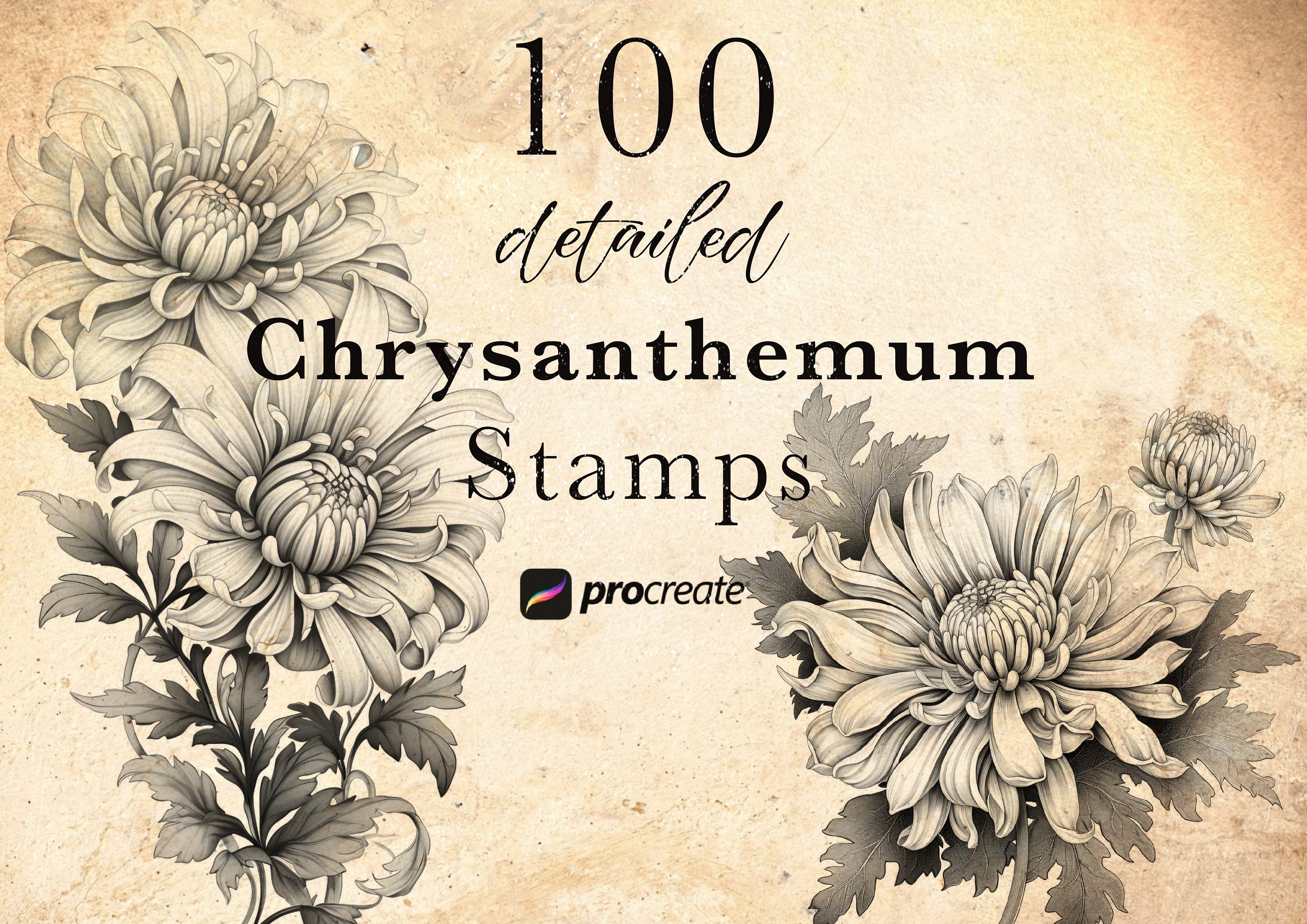 25 Botanical Stamp Collection – Brushspot