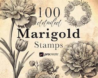 Marigold Flower Procreate Stamp Brushes: Botanical Tattoo Stamps (100) • .brushset for iPad/Apple Pencil