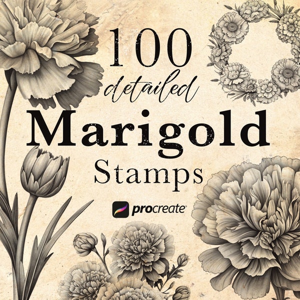 Marigold Flower Procreate Stamp Brushes | Tagetes Blossom Stamps | October Birth Flower Brushes | Tattoo | Botanical Stamps | Genda Phool