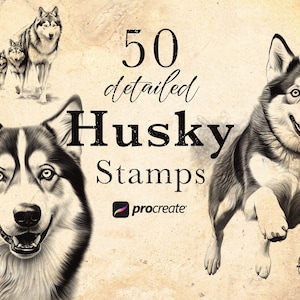 50 Husky Procreate Stamp Brushes | Wildlife Animal Procreate Stamps | Forest Life Set | Animal  Procreate | Tattoo Reference Microrealism