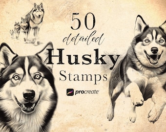 50 Detailed Husky Procreate Stamp Brushes: Wildlife Animal Stamps (Digital Download)