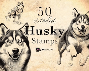 50 Husky Procreate Stamp Brushes | Wildlife Animal Procreate Stamps | Forest Life Set | Animal  Procreate | Tattoo Reference Microrealism