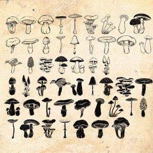 Mushroom Procreate Stamp Brushes: Fungi Stencil Set (digital Download ...