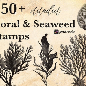 Può includere: Un'illustrazione digitale di oltre 150 timbri dettagliati di coralli e alghe per Procreate. L'immagine mostra tre illustrazioni in bianco e nero di coralli e alghe.