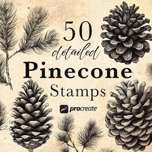 Puede incluir: 50 sellos de piñas detallados en blanco y negro para Procreate. Los sellos están dibujados en un estilo realista y presentan varias formas y tamaños de piñas.