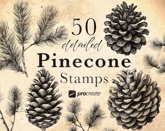 50 Pinecone Procreate brush Stamps | Christmas Pine branches ,  Winter Procreate Brushes