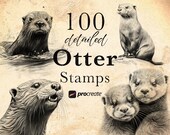 100 Otter Procreate Stamp Brushes: Wildlife Animal Tattoo Reference • .brushset for iPad/Apple Pencil