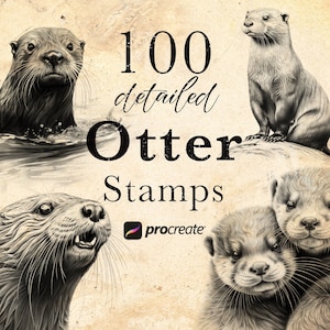 Puede incluir: Un conjunto de 100 sellos de nutrias detallados para Procreate. Los sellos presentan dibujos realistas de nutrias en varias poses, incluyendo nadar, jugar y acurrucarse.
