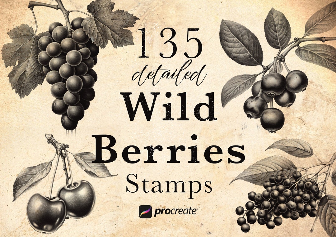 Wild Berries Procreate Stamp Brushes Berry Stamps Blueberry, Blackberry