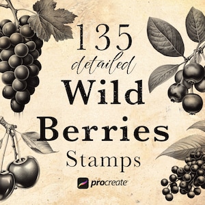 Wildbeeren Procreate Stempelpinsel | Beeren Stempel | Blaubeere, Brombeere, Himbeere, Kirsche, Trauben, Holunder, Cranberry & mehr