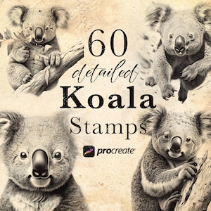 Pode incluir: 60 selos de coala detalhados para Procreate. A imagem mostra quatro ilustrações em preto e branco de coalas. Os coalas são desenhados em um estilo realista e são mostrados em várias poses.